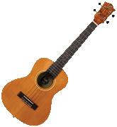 LEIA TE Flight Princess Ukulele Series