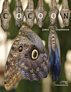 Cocoon Chamber Ensemble - Set