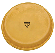 Standard Replacement Bongo Head 8-1/ 2″