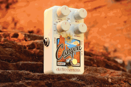 Canyon Delay and Looper