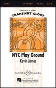 NYC Play Ground Transient Glory Series