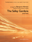 The Salley Gardens (Irish Tune)