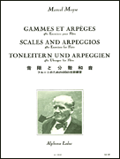 Scales and Arpeggios 480 Exercises for Flute