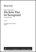 Cover for Du Liebe Flur Im Seengrund : Schott by Hal Leonard