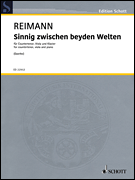 Sinnig Zwischen Beyden Welten Fragments of the West-Eastern Divan<br><br>Countertenor, Viola and Piano
