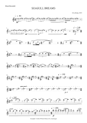 Seagull Dreams for Tenor Recorder, Clarinet in A/ Bass Clarinet, and Percussion<br><br>Parts